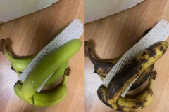 <b>能仅满脚于给AI内容打上小字标签</b>